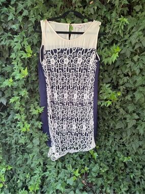 Altar'd State Navy and Cream Lace Overlay Sheath Dress
